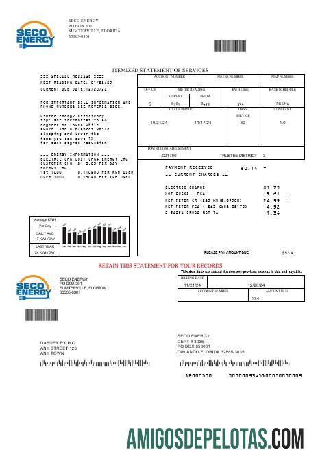 Em branco modelo de conta de serviços públicos de negócios de energia da Flórida Seco dos EUA em formatos Word e PDF